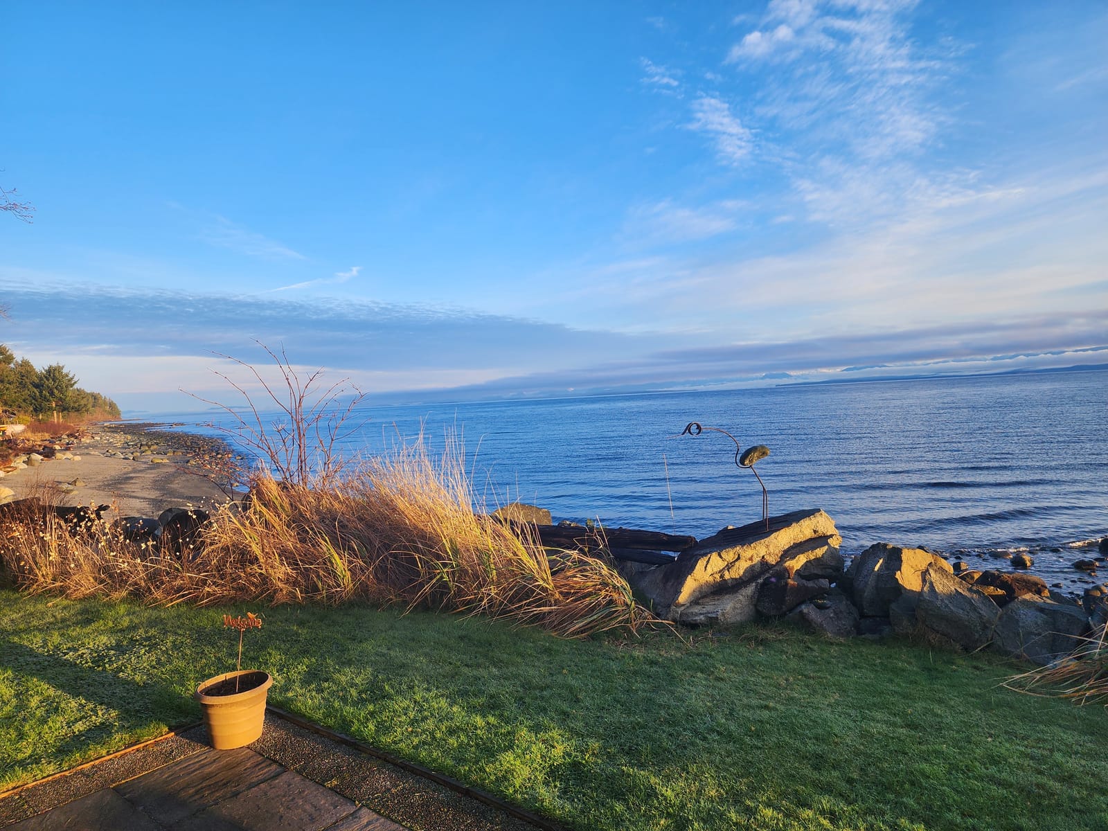 Beach grass and ocean view under blue sky
